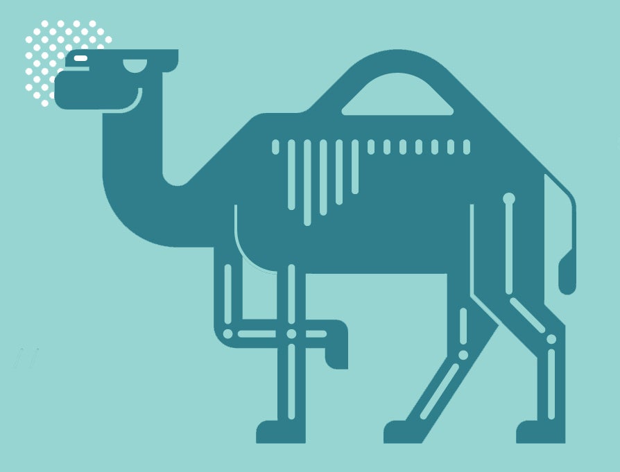 "camel"