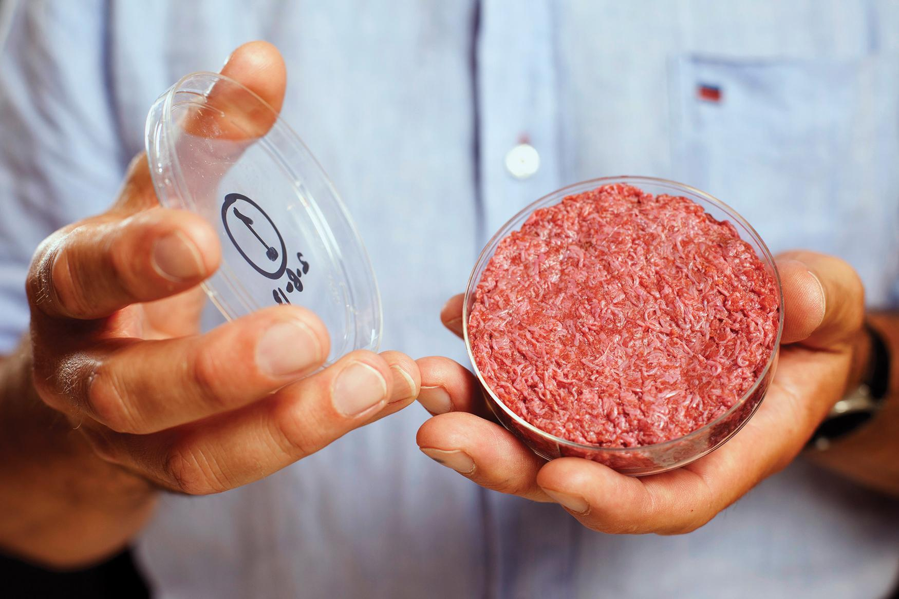 What Does It Take To Make Meat From Stem Cells?