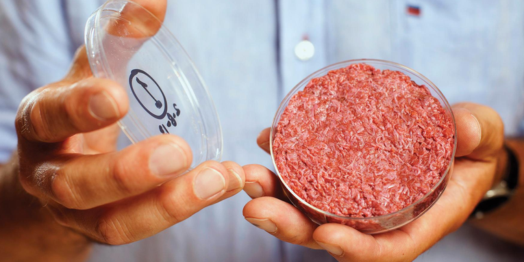 What Does It Take To Make Meat From Stem Cells?