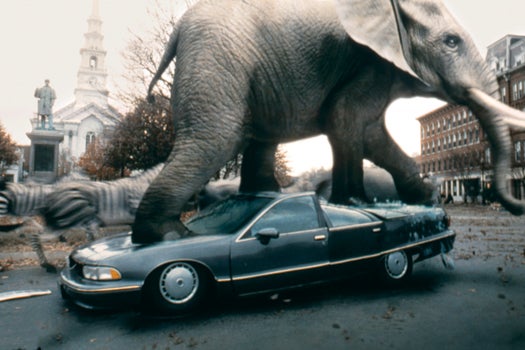 JUMANJI, elephant trampling car, 1995, (c)Columbia Pictures/courtesy Everett Collection