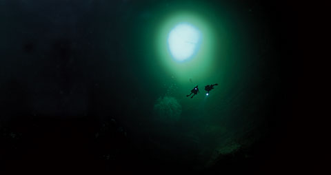 Like a watery elevator shaft, this blue hole plunges 200 feet straight down from the surface of Abaco Island, in the Bahamas. Found below the seafloor and on tropical islands, blue holes formed after the last ice age, when meltwater flooded vertical caves. A research team led by Texas A&amp;M; marine biologist Tom Illife visited Abaco earlier this year. Its mission: to collect specimens in the unusual waters, where oxygen content is low and salinity varies dramatically from the surface to the depths. Scientists suspect that thousands of ancient species have been preserved in blue holes, many of them living fossils of creatures once thought extinct. Illife´s team found what could be several new species of crustaceans.