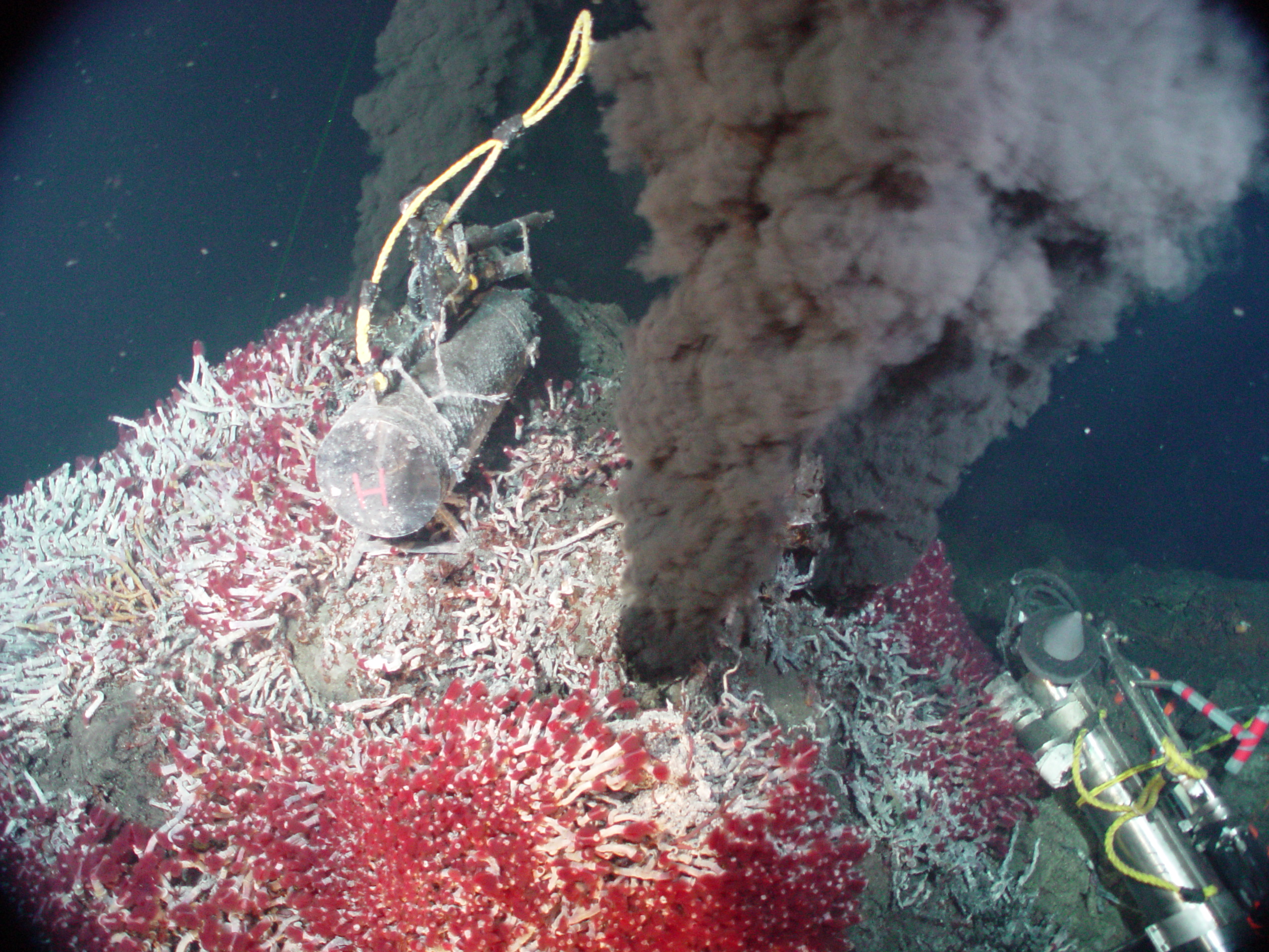 Черные курильщики океана. Гидротермальные источники черные курильщики. Тихий океан гидротермальные источники. Глубоководные гидротермальные источники. Подводный вулкан в Марианской впадине.