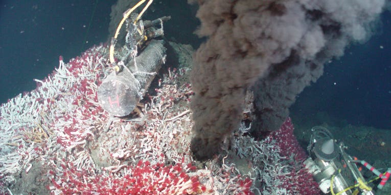 There’s a treasure trove on the seafloor—and that could be a bad thing