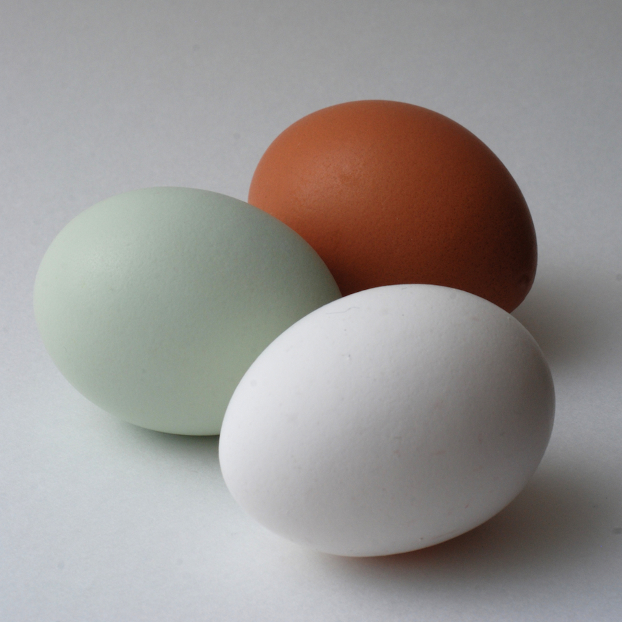 Find A Blue Chicken Egg? Congrats, Your Chicken Has A Virus