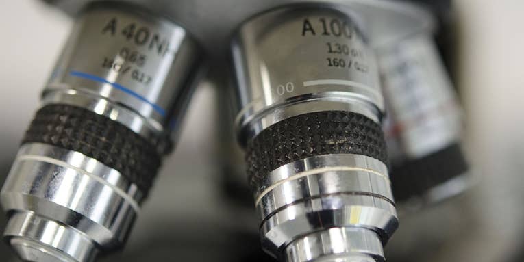 Inventors Of Ultra-High-Res Microscopes Snag Nobel Prize In Chemistry