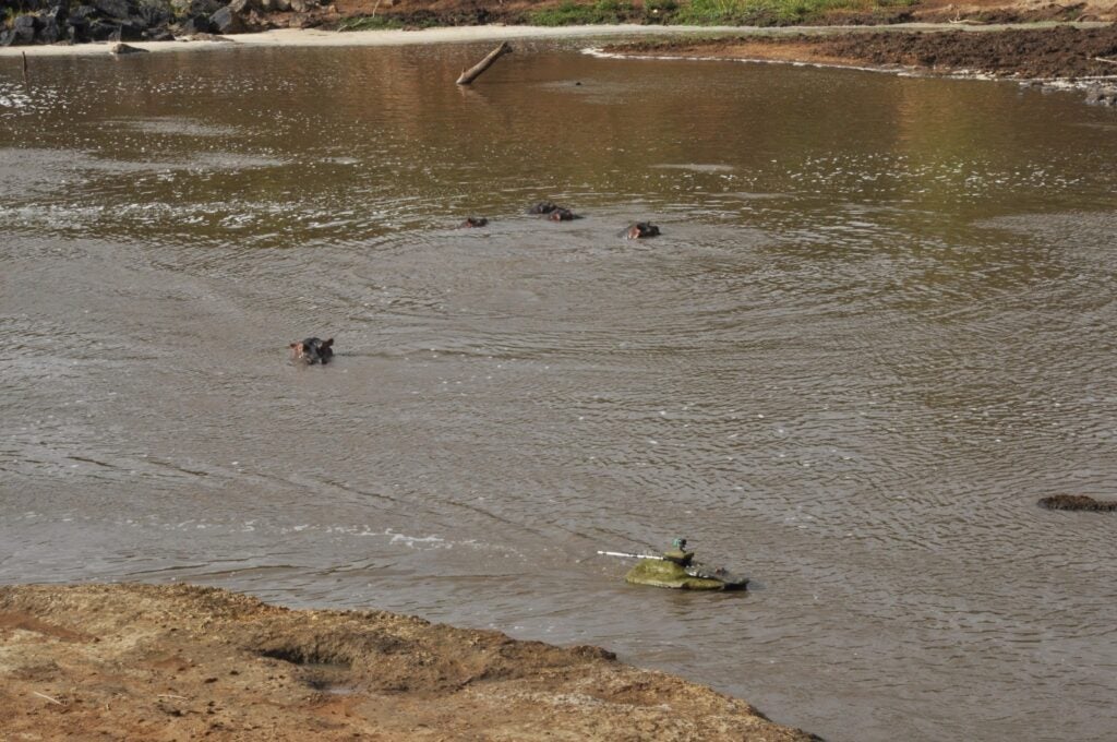 The hippos generally leave the croc-boat alone, as long as it sticks to deep water and gives them wide berth.
