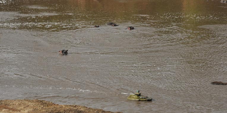 Robo-Boats Disguised As Crocodiles Sneakily Study Hippo Poo