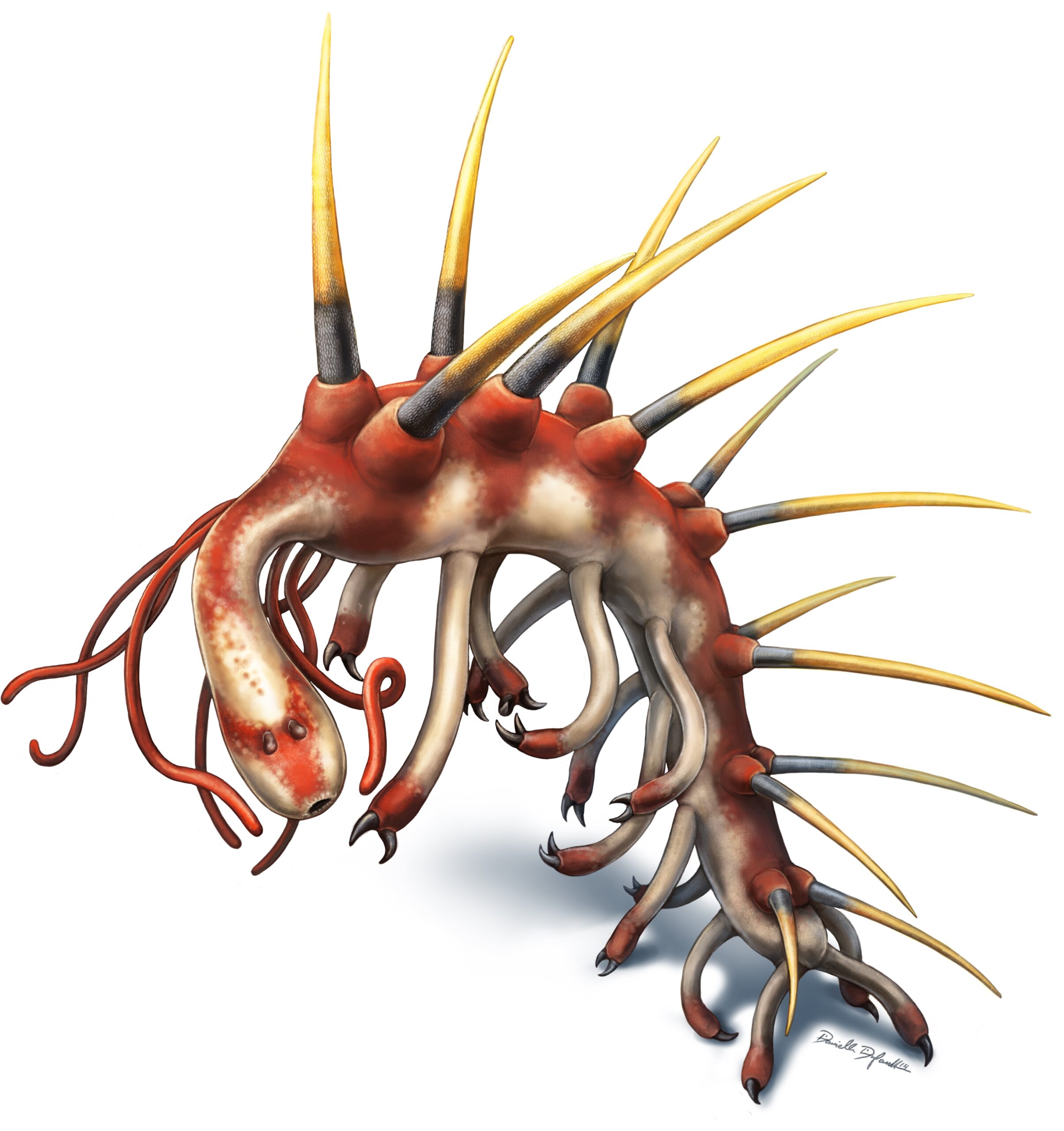 This Bizarre Spiked Worm Used To Roam The Earth