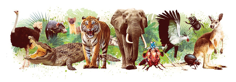 Graphs of the world's most powerful animals | Popular Science