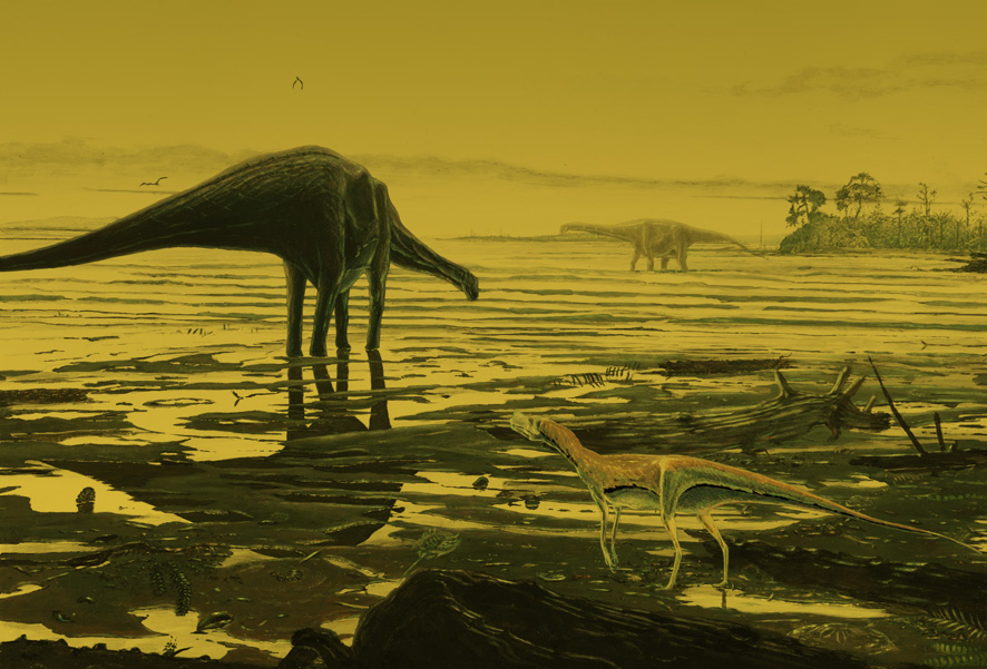 New Dinosaur Footprints Show Sauropods Frolicked In Shallow Water