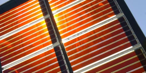 Inventor of Photosynthesis-Based Solar Cells Wins Millennium Tech Prize
