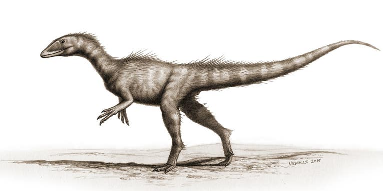 Tiny, Ancient T. Rex Relative Found In Wales