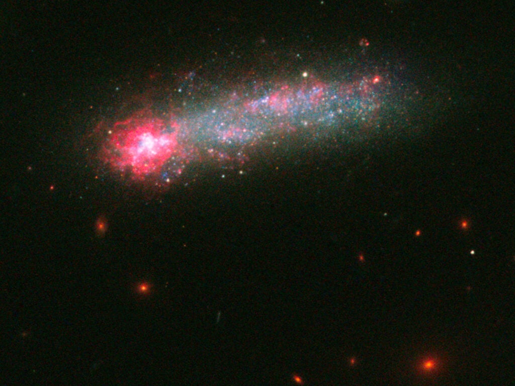 Fireworks-Filled Tadpole Galaxy
