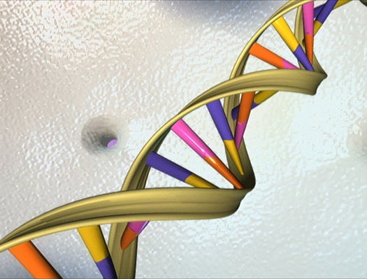 What’s The Half-Life Of DNA?