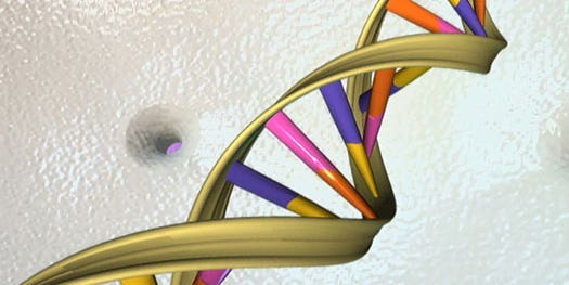 A Working Transistor Built Out Of DNA Within A Living Cell