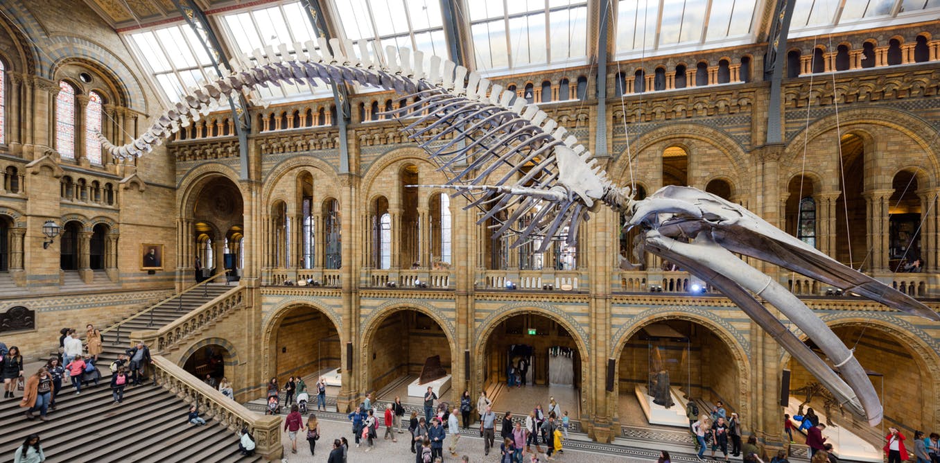 Four ways natural history museums can skew reality