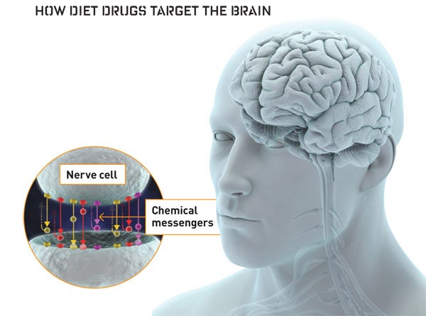 Like Prozac and other antidepressants, many diet drugs boost the chemical signals that flow from one nerve cell to the next. This communication relay helps regulate mood, hunger and energy levels, among other things. Some chemicals naturally collect in between the nerve cells and get reabsorbed into the transmitting cell. The experimental drug tesofensine blocks this reabsorption to allow more chemicals to do their job.