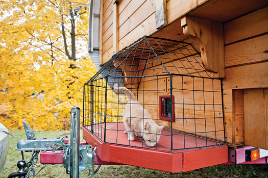 Lionshead the cat [above] was used to living outside—not in a caravan or car—so the couple built her a porch from wire dorm-room shelves, two-by-fours, and plywood.