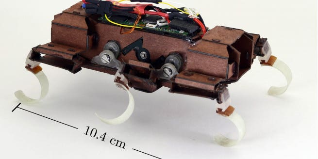 Watch This Super Fast Robo-Roach Launch A Robot Bird
