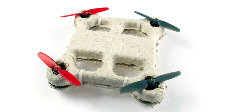 How It Works: Growing A Biological Drone To Explore Mars