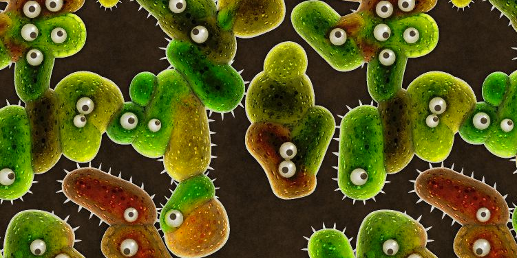 Building Design Influences Bacterial Growth