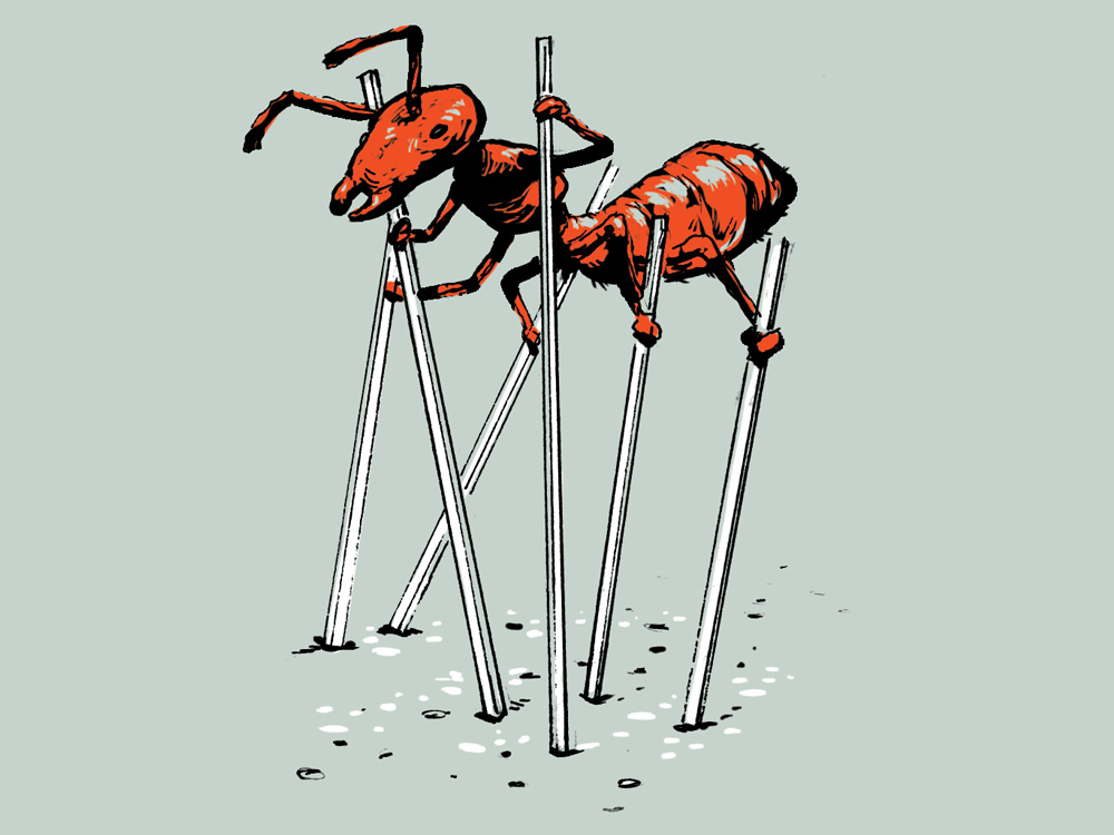 I glue stilts to ants