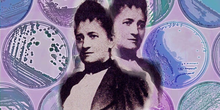 The Forgotten Woman Who Made Microbiology Possible