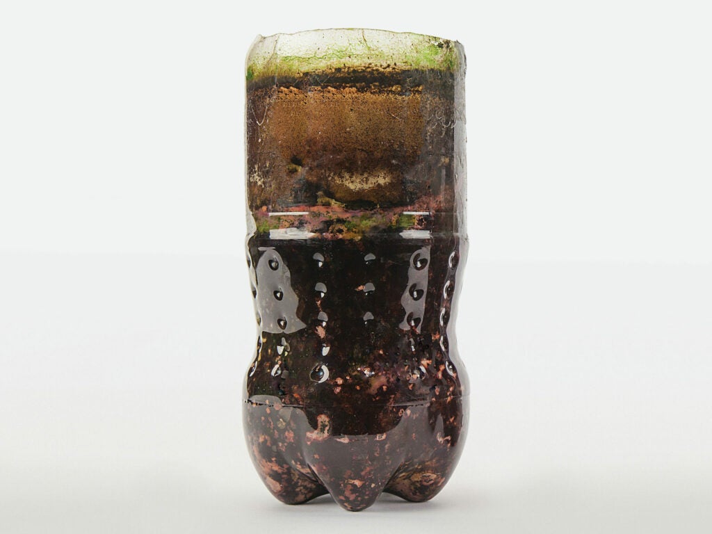 Bacterial zoo in a bottle