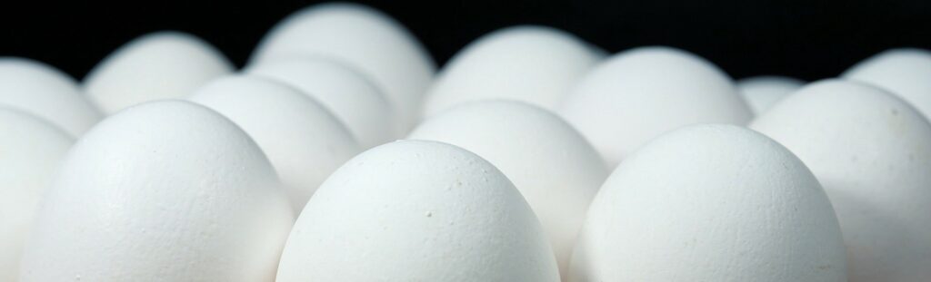 Eggs could power a clean energy future.