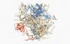 RNA exosome complex, molecular model