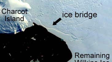Giant Antarctic Ice Bridge Collapses