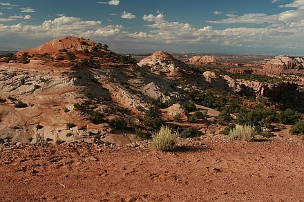 During the Mesozoic Era (the "Age of Dinosaurs"), large amounts of dune sand accumulated in the southwestern U.S. These rocks, shown above in Canyonlands National Park, are "petrified" remnants of both Triassic and Jurassic Period dunes.