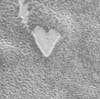 In 1999 the Mars Orbiter Camera captured this image of a heart-shaped mesa in Mars' south polar region.