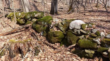 Old stone walls hold secrets to Earth’s wandering magnetic north