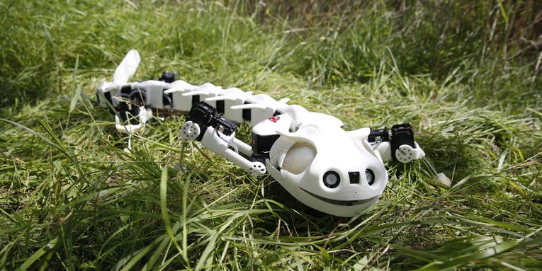 Watch This Salamander Robot Slither Like The Real Thing