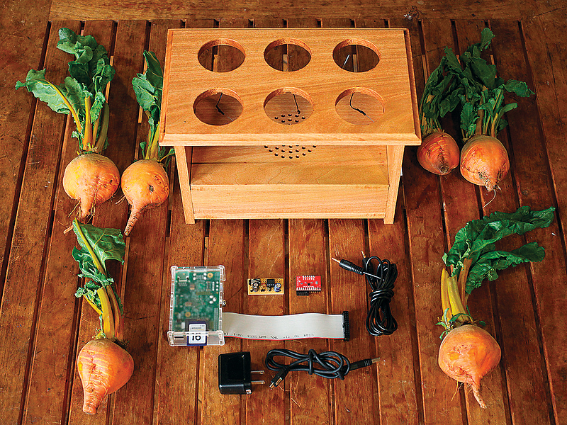 How To Turn Garden Beets Into A Drum Machine