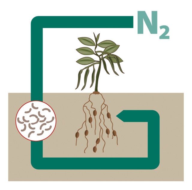 A liquid soil additive called Bio-Soil Enhancers boosts yields in virtually every type of crop.