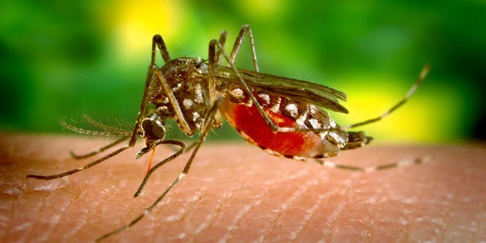When Will We Have A Zika Vaccine?