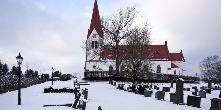 Bats are disappearing from churches in Sweden, and that’s not a good thing
