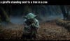 Yoda Stands In A Swamp