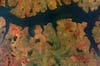 Since day one of the World Cup, <a href="http://www.nasa.gov/worldcup/#.U5tnJI1dXkI">NASA</a> has released an entire album of aerial views of countries participating in the 2014 World Cup. Can you guess which country is depicted here on the left? (<em>Hint: it's the host country</em>)
