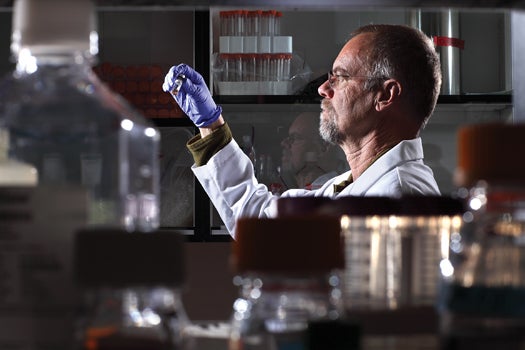 Bill Andrews examines one of tens of thousands of compounds he has screened for anti-aging properties