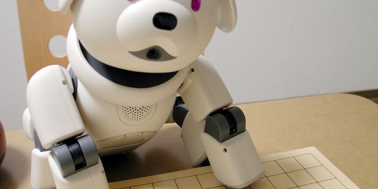 In Japan, A Funeral For Robot Dogs