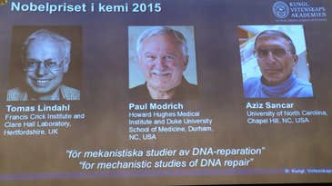 Nobel Prize In Chemistry Goes To 3 Scientists Who Uncovered DNA Repair