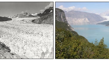 Photo pair of the Muir glacier 1941 and 2004