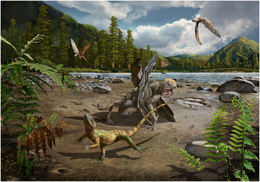 Prehistoric lizards could sprint on two legs