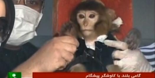 Was Iran’s Monkey Launch A Fake?