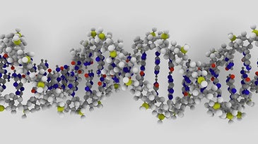 The Popular Science Guide To DNA