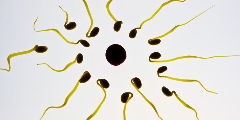 A Chinese folk contraceptive could give rise to unisex ‘molecular condoms’