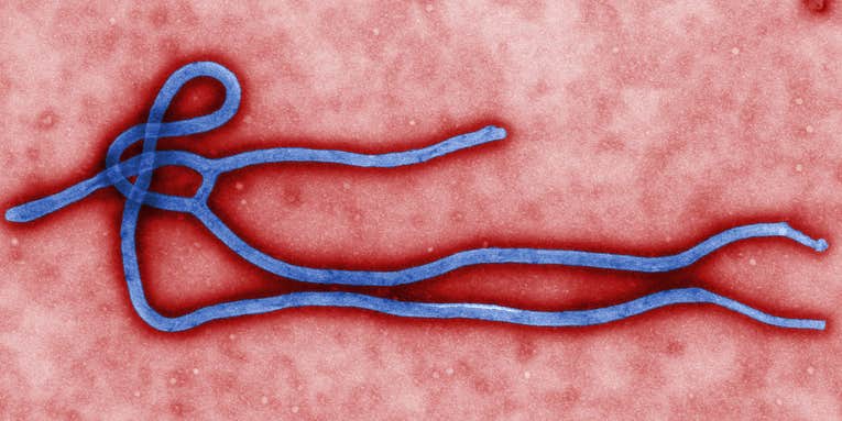 Ebola: How Pop Culture And Infotainment Flame Our Fear